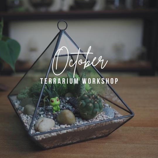 Terrarium Workshop