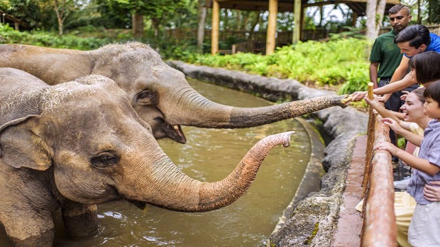 Singapore Zoo