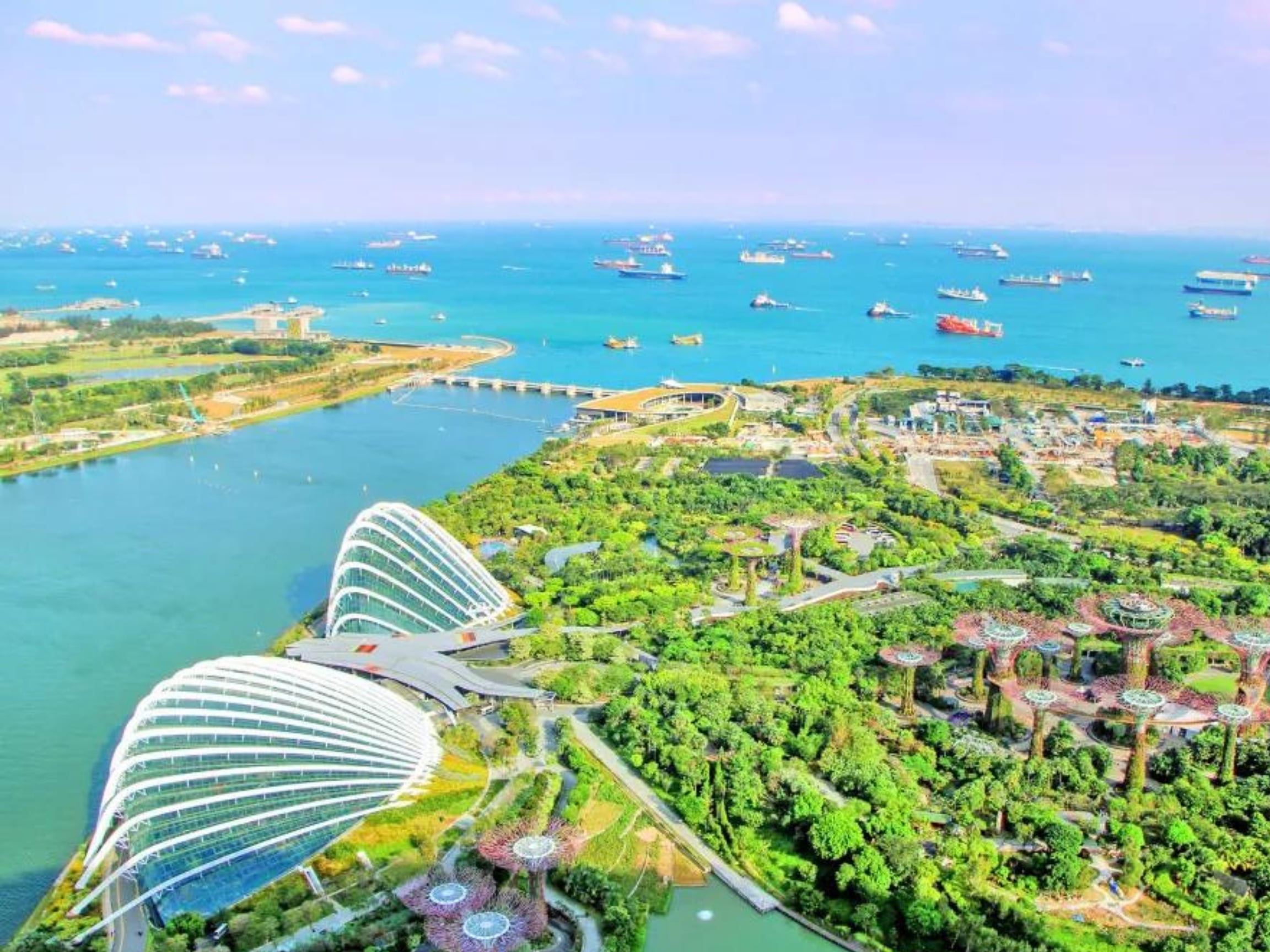 Sustainable Singapore Stories