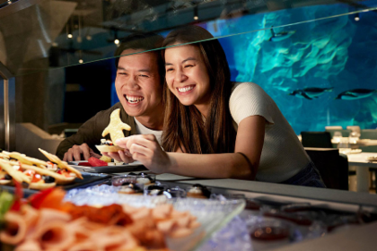 Penguin Cove Buffet Lunch