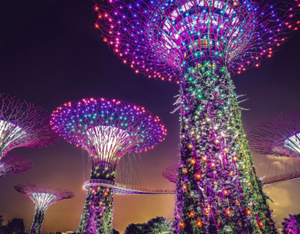 Singapore: Gardens and Satay by The Bay Private Guided Tour