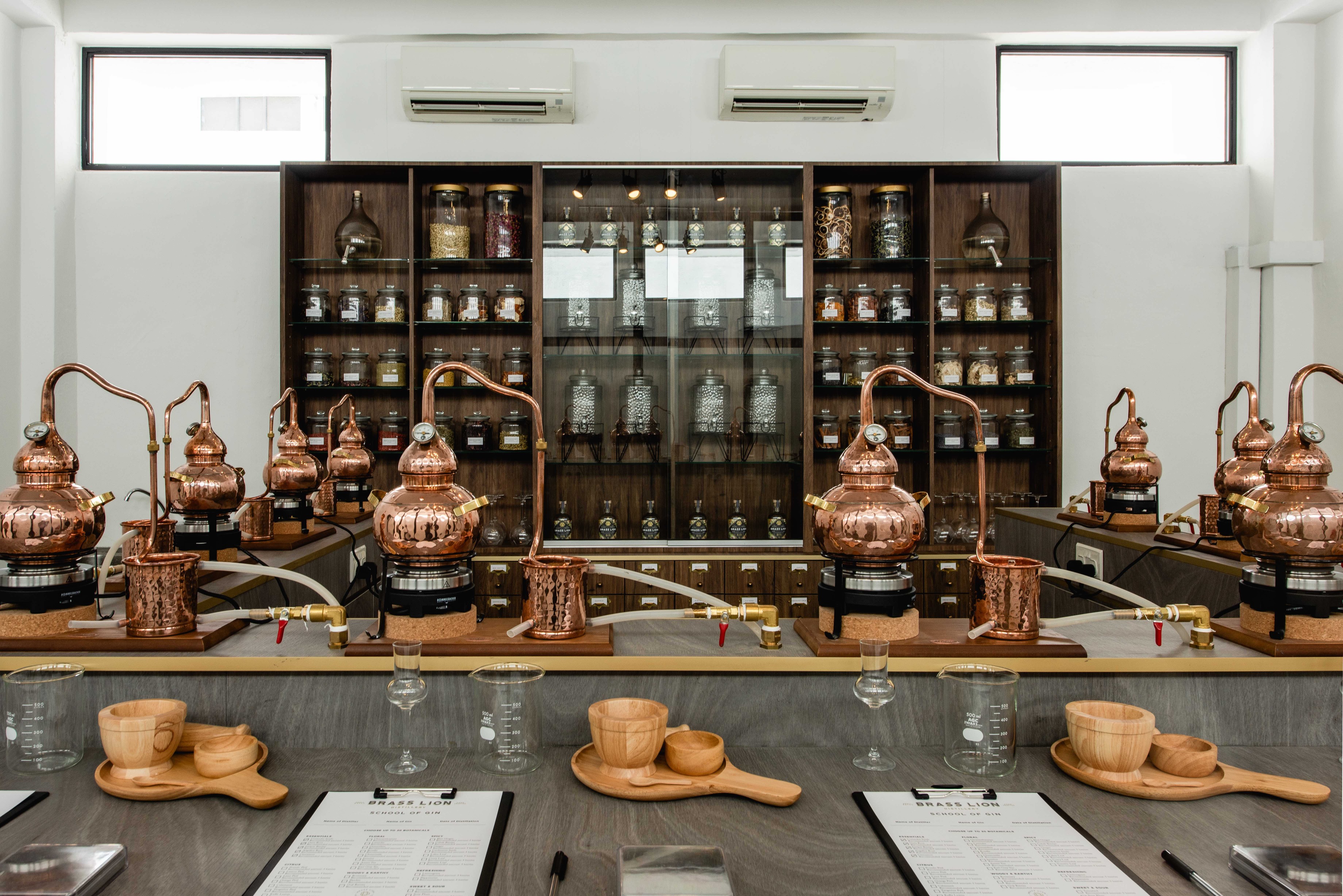 Brass Lion Gin School