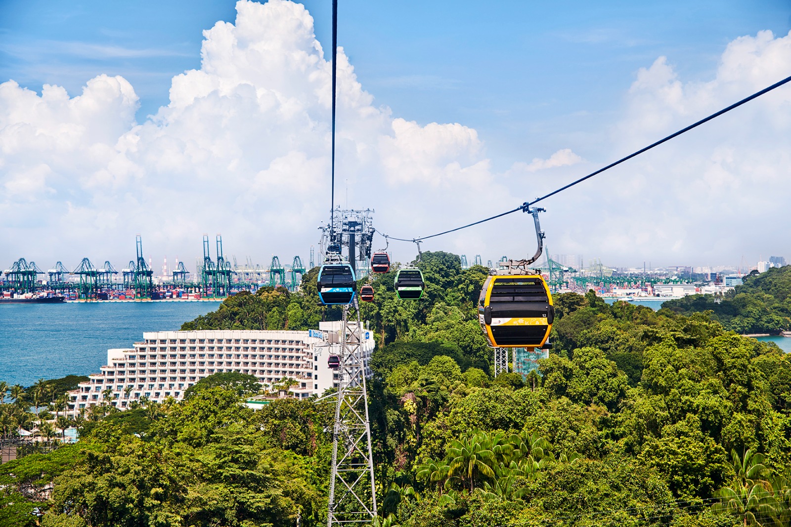 Cable Car + Arbora